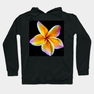 plumeria-flowers-frangipani-floral-blossom-petal-shirtyshirto-34 Hoodie